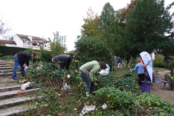 Arbeiten an der Parzelle im Herbst 25